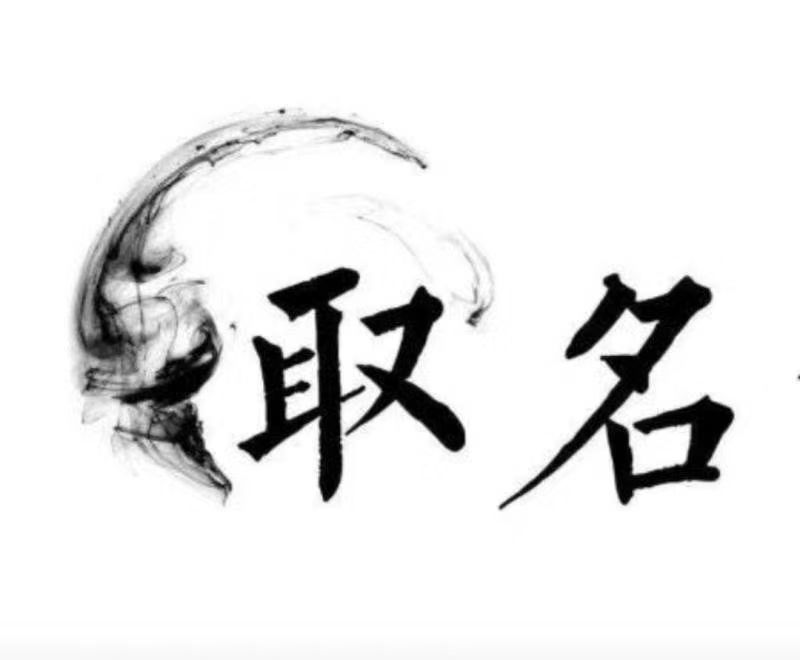  定西宝宝取名 大师一对一人工起名